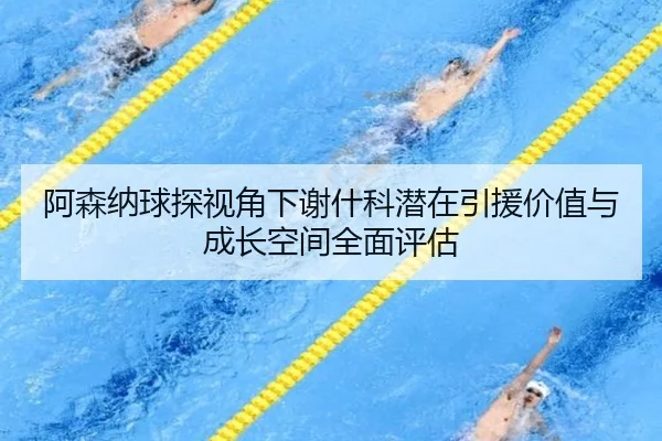 阿森纳球探视角下谢什科潜在引援价值与成长空间全面评估