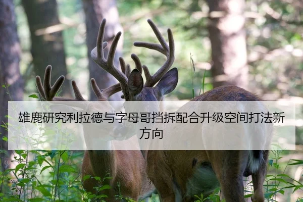 雄鹿研究利拉德与字母哥挡拆配合升级空间打法新方向